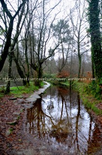 palas de rei - melide winter