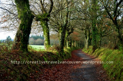 Palas de Rei - Melide Winter