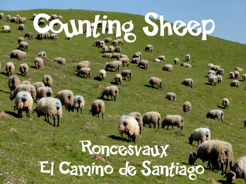 Saint-Jean-Pied-de-Port - Roncesvalles