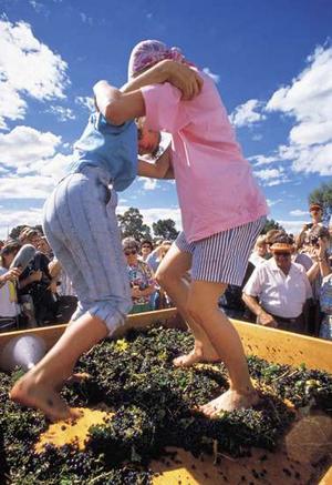 HarvestFestival_narrowweb__300x437,0