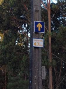 Almost there!! She will arrive to the Plaza del Obradoiro in 4.7 kilometers!!!! In one hour