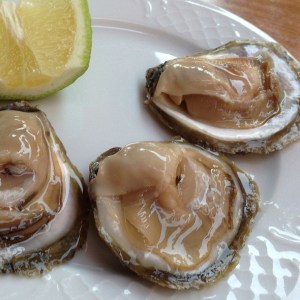 oysters