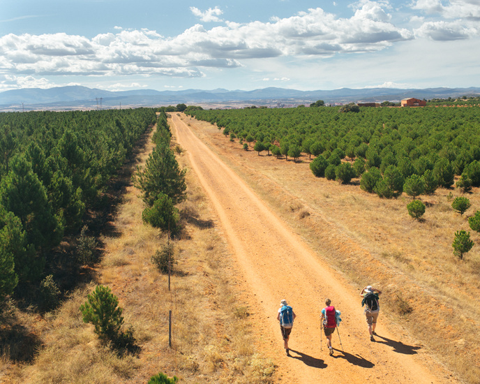 11968-6359675-way_death_0023