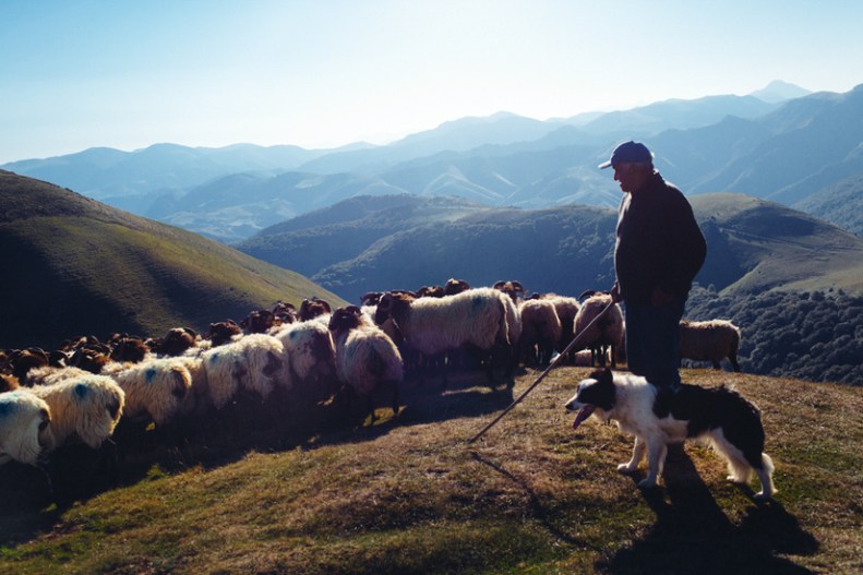 11968-7290190-MGP_1467_1_