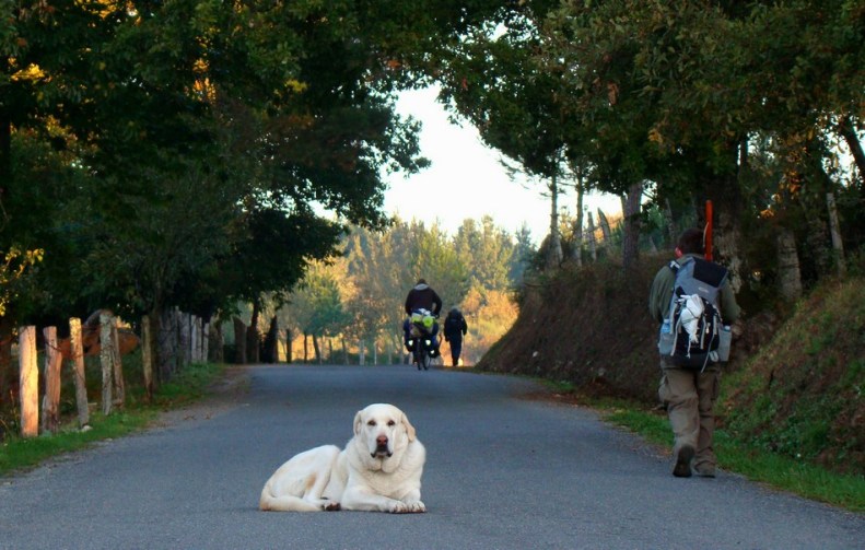 DSC11935LeimanRoligDagPaaStien