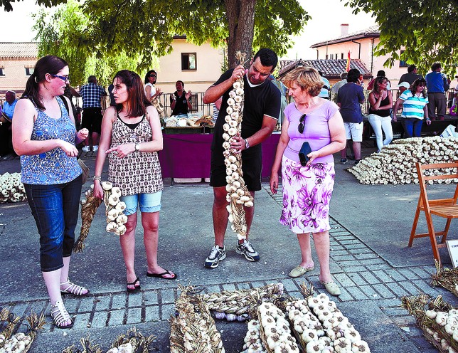 EBB1E4F1-AD6F-E498-ADF766A9EBE6F5B2